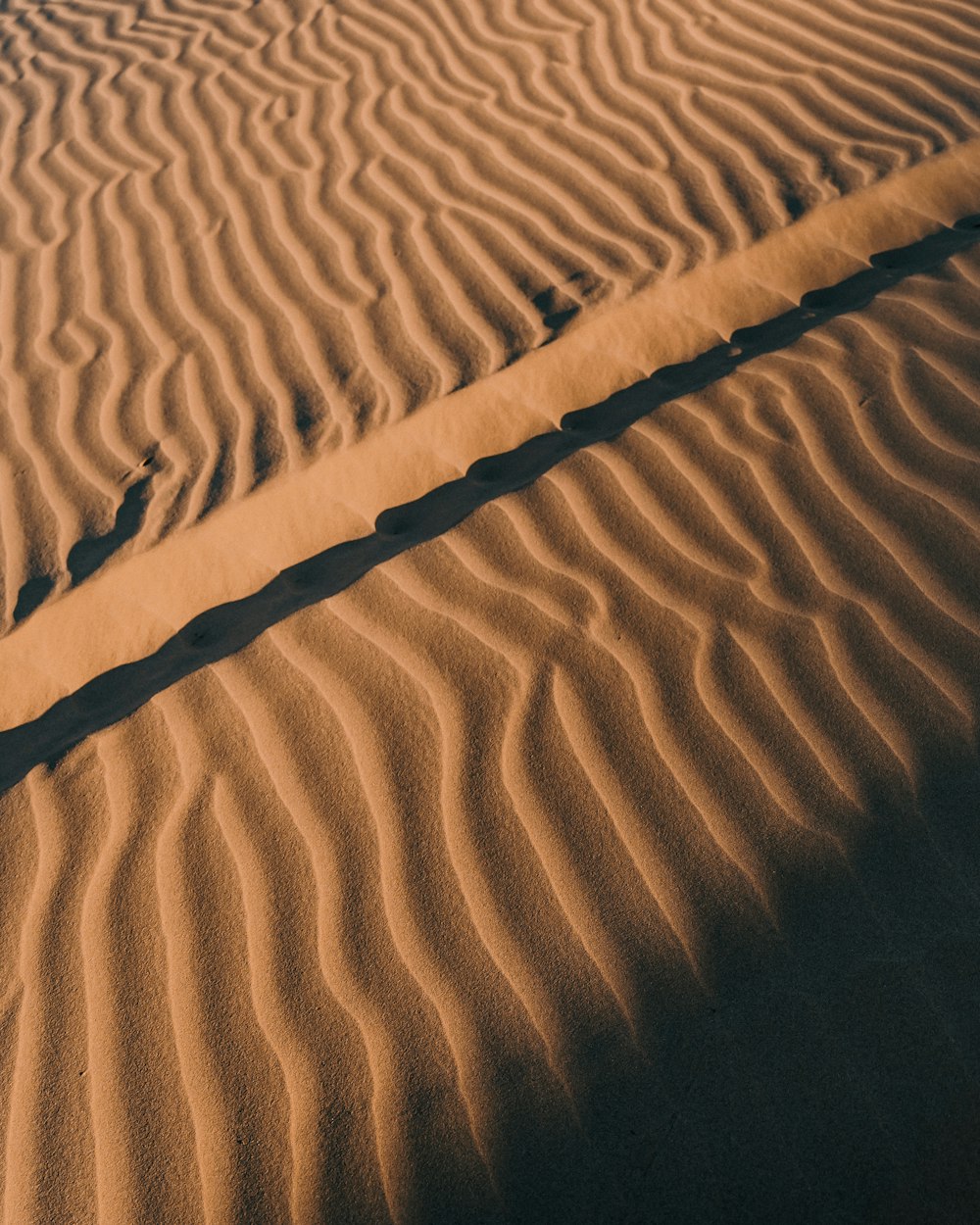 Dunas de arena marrón durante el día