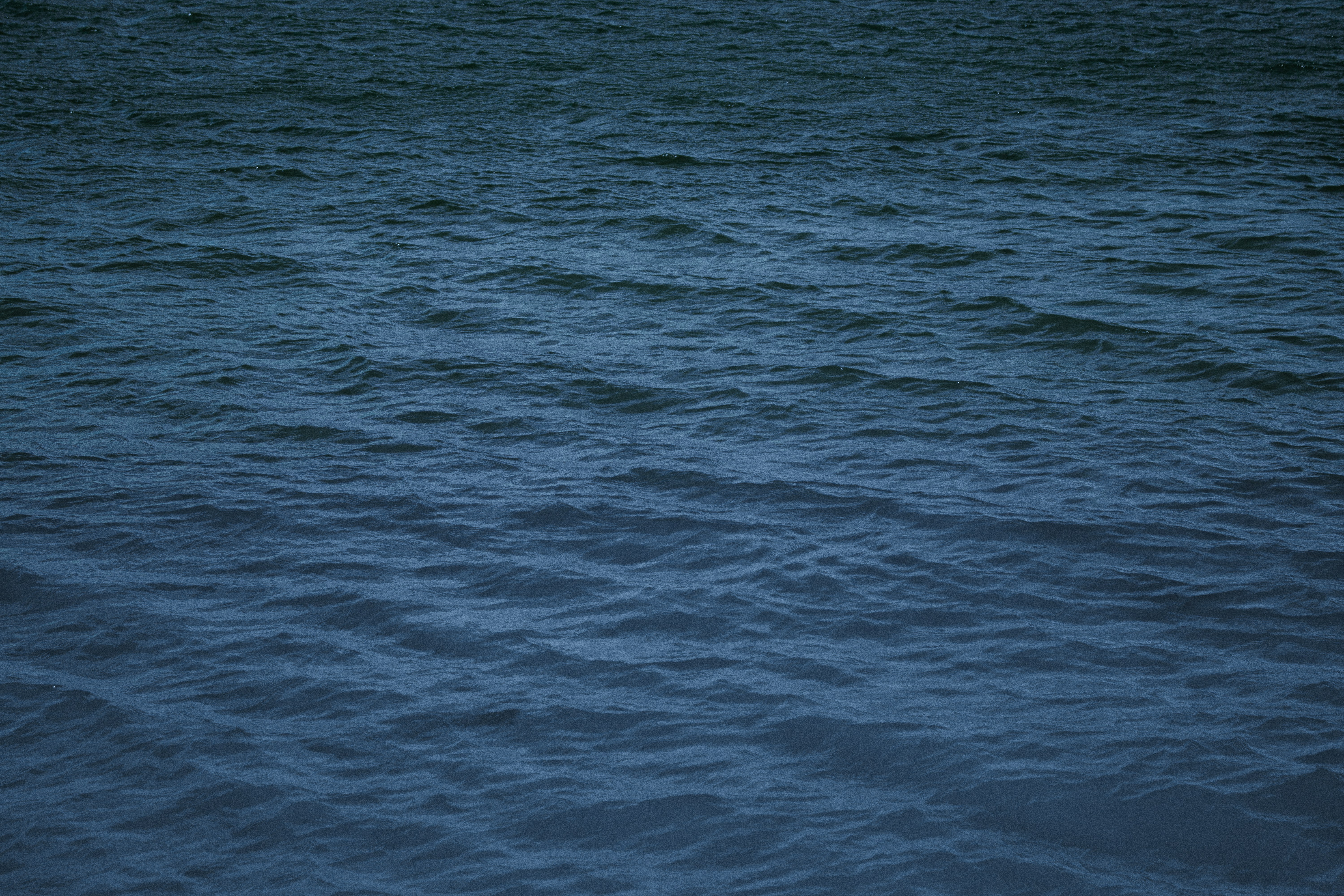 Photo by jordanseott