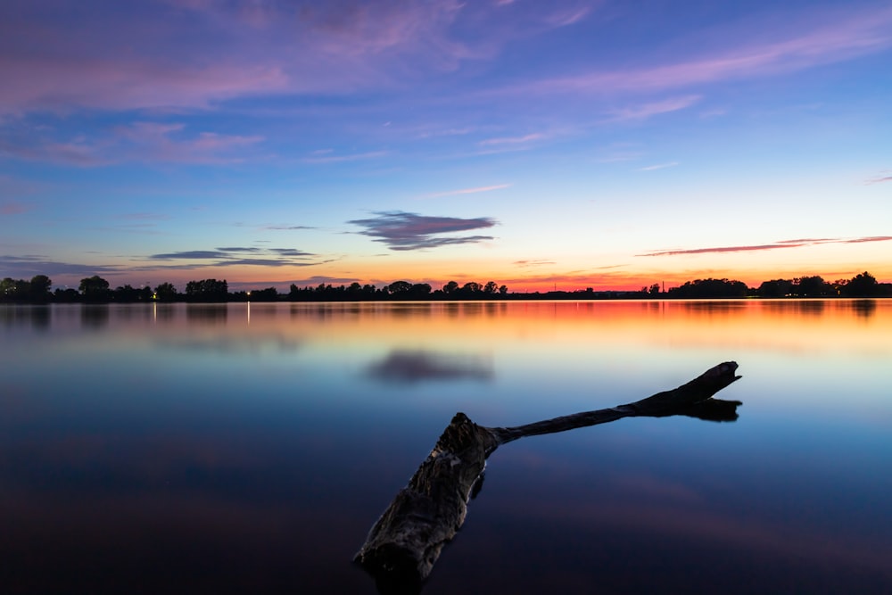 brown wood log on water during sunset