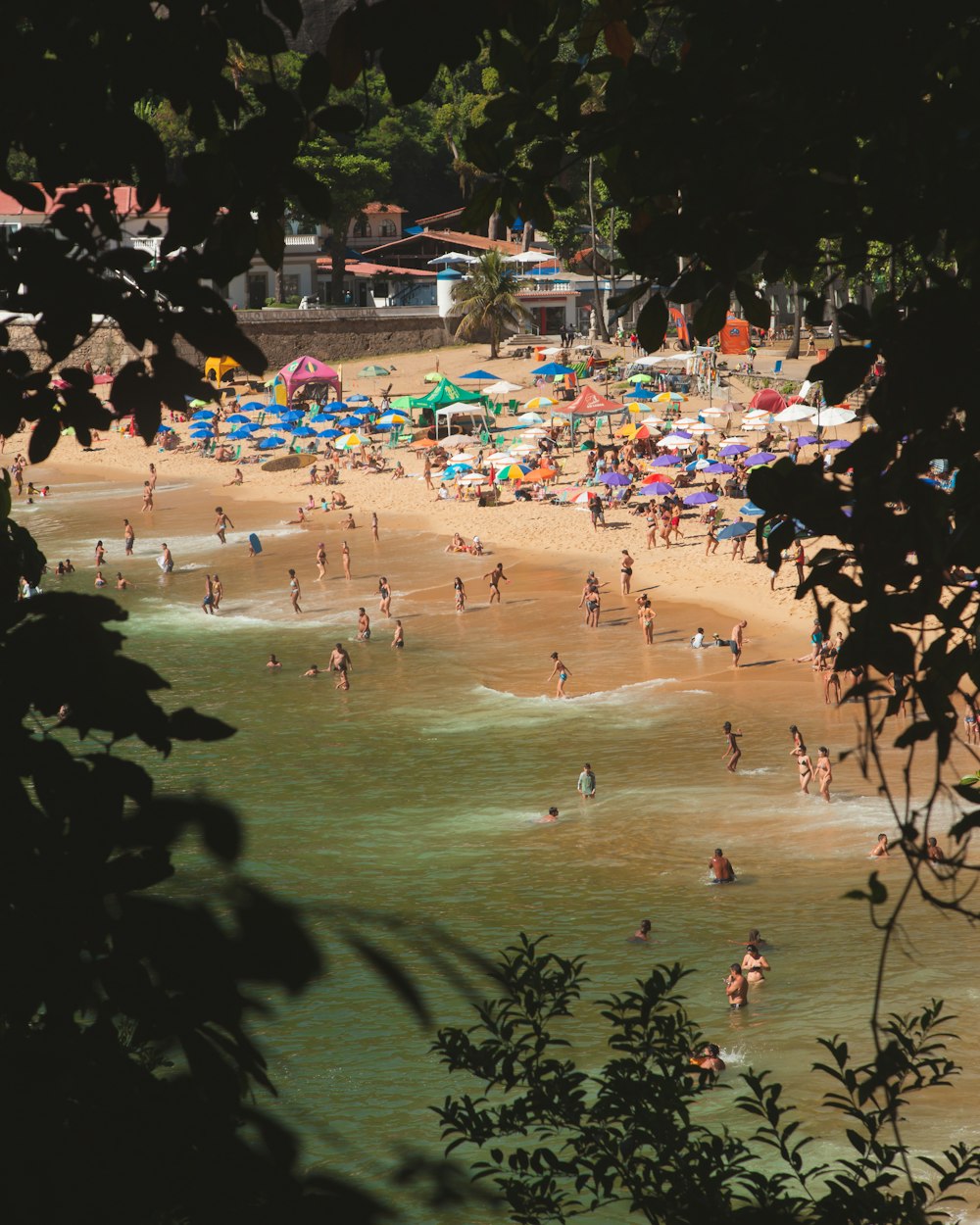 people on beach during night time