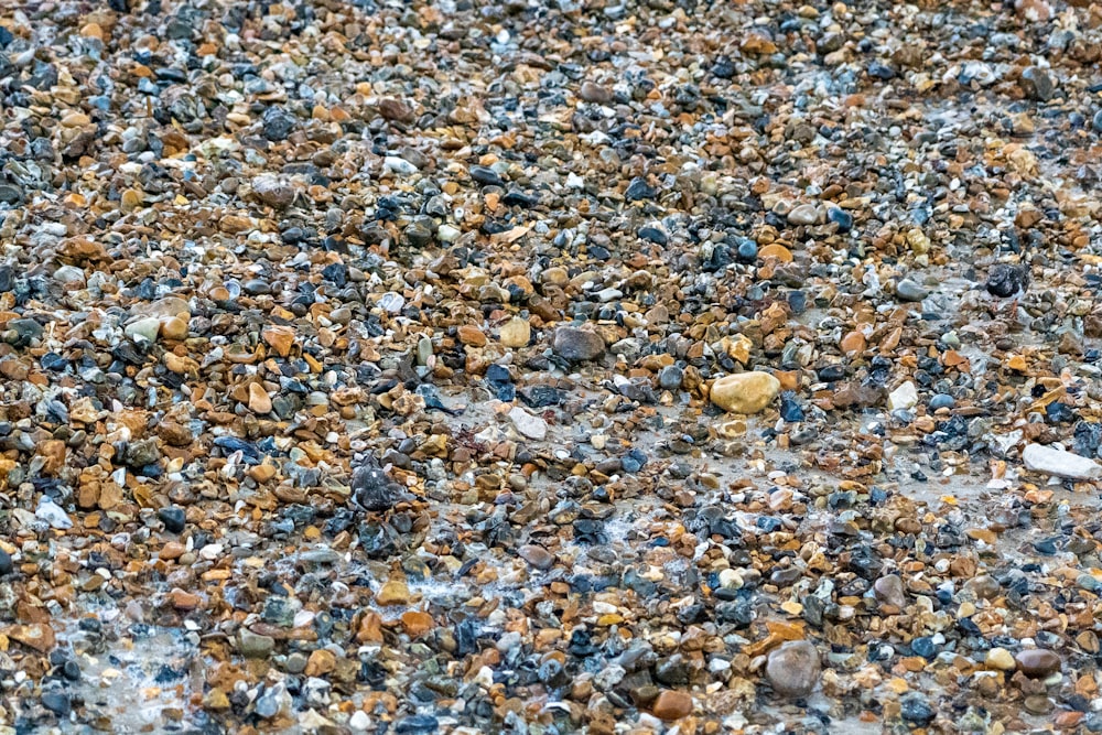 brown and gray stone fragments