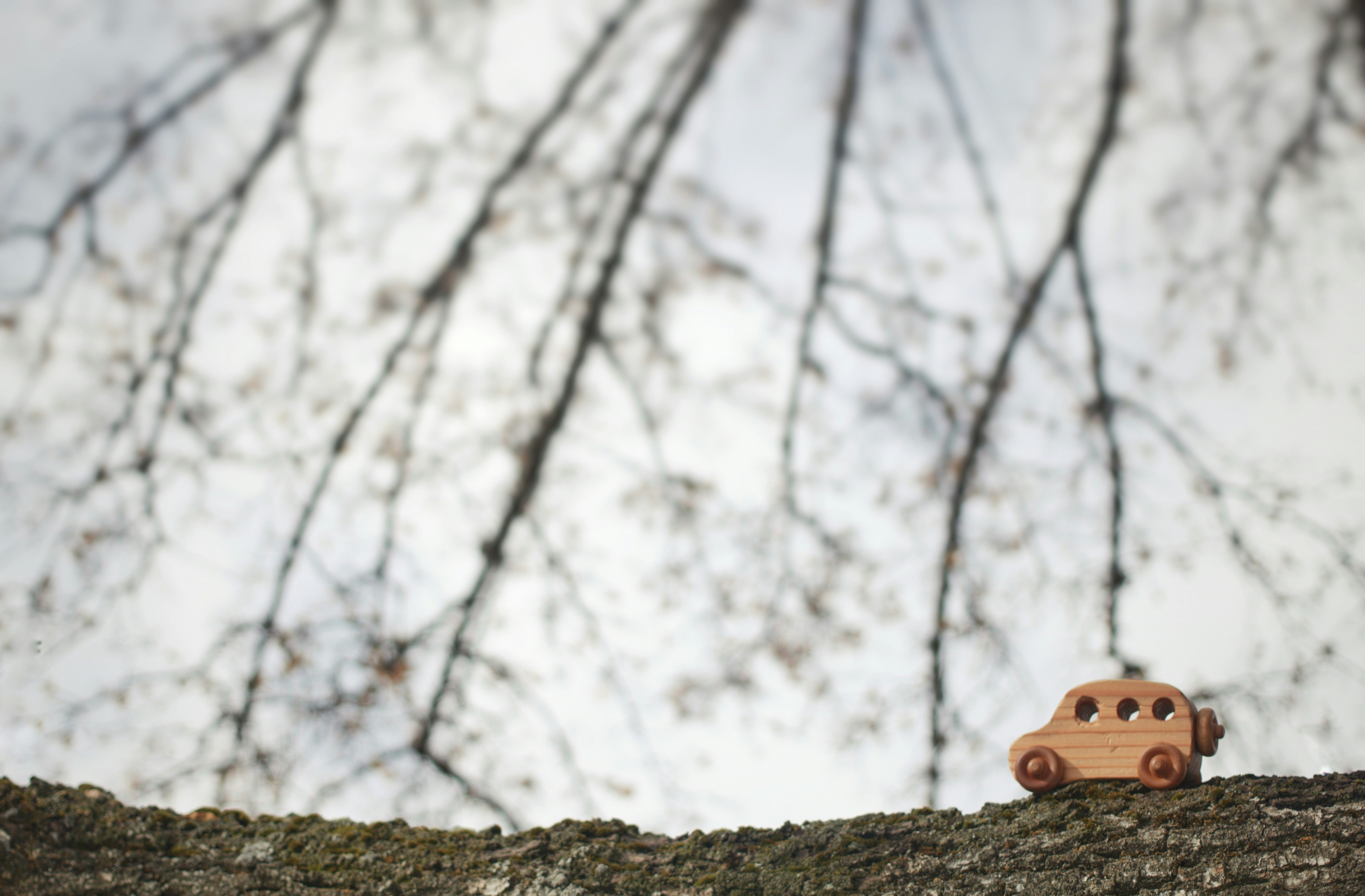 Photo by joshua_hoehne