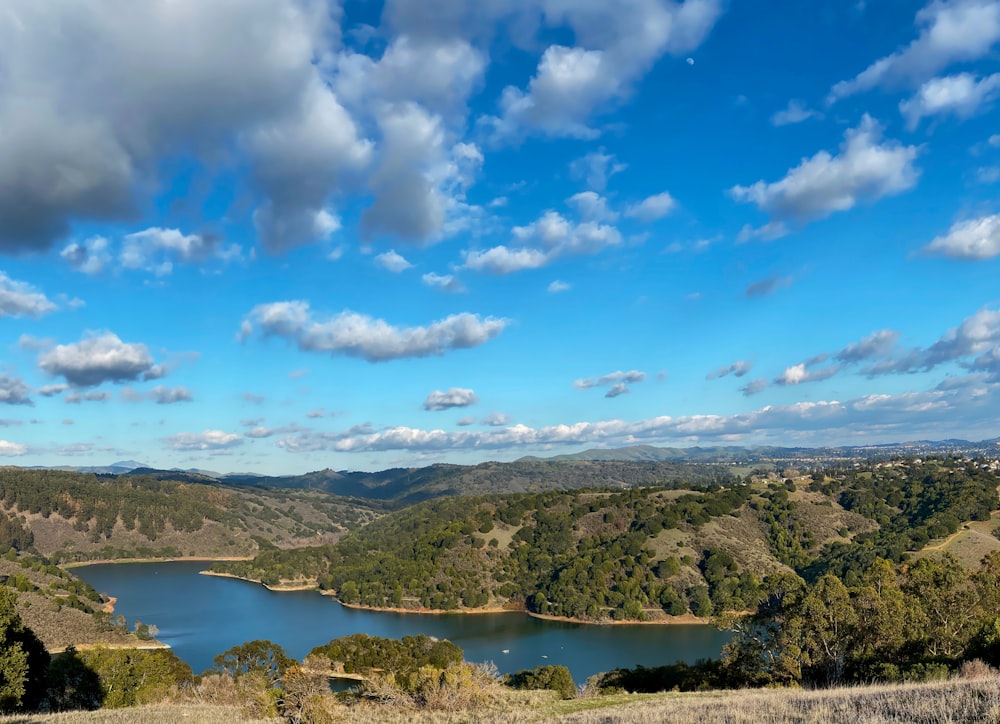 green trees near lake under blue sky and white clouds during daytime