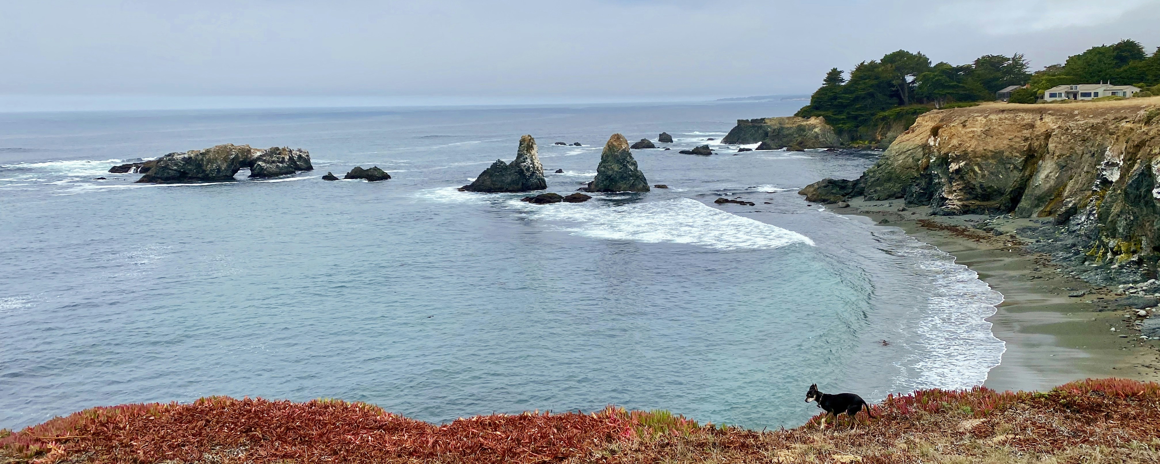 black rock formation on sea during daytime