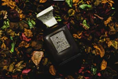Elegant black and gold packaging displayed alongside fresh herbs and flowers on a dark surface.