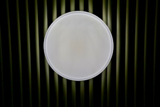 A large, circular white light fixture is centered against a background of vertically aligned dark green slats.