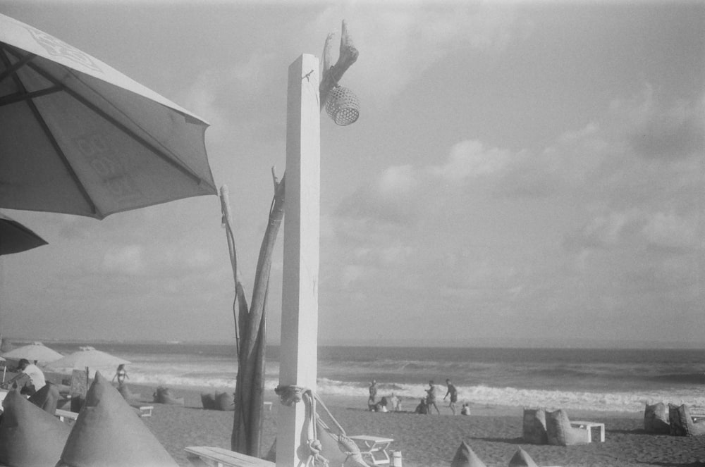 grayscale photo of beach umbrellas on beach