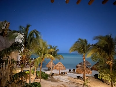 A serene beachfront at sunset with luxurious lounge chairs and palm trees swaying gently.