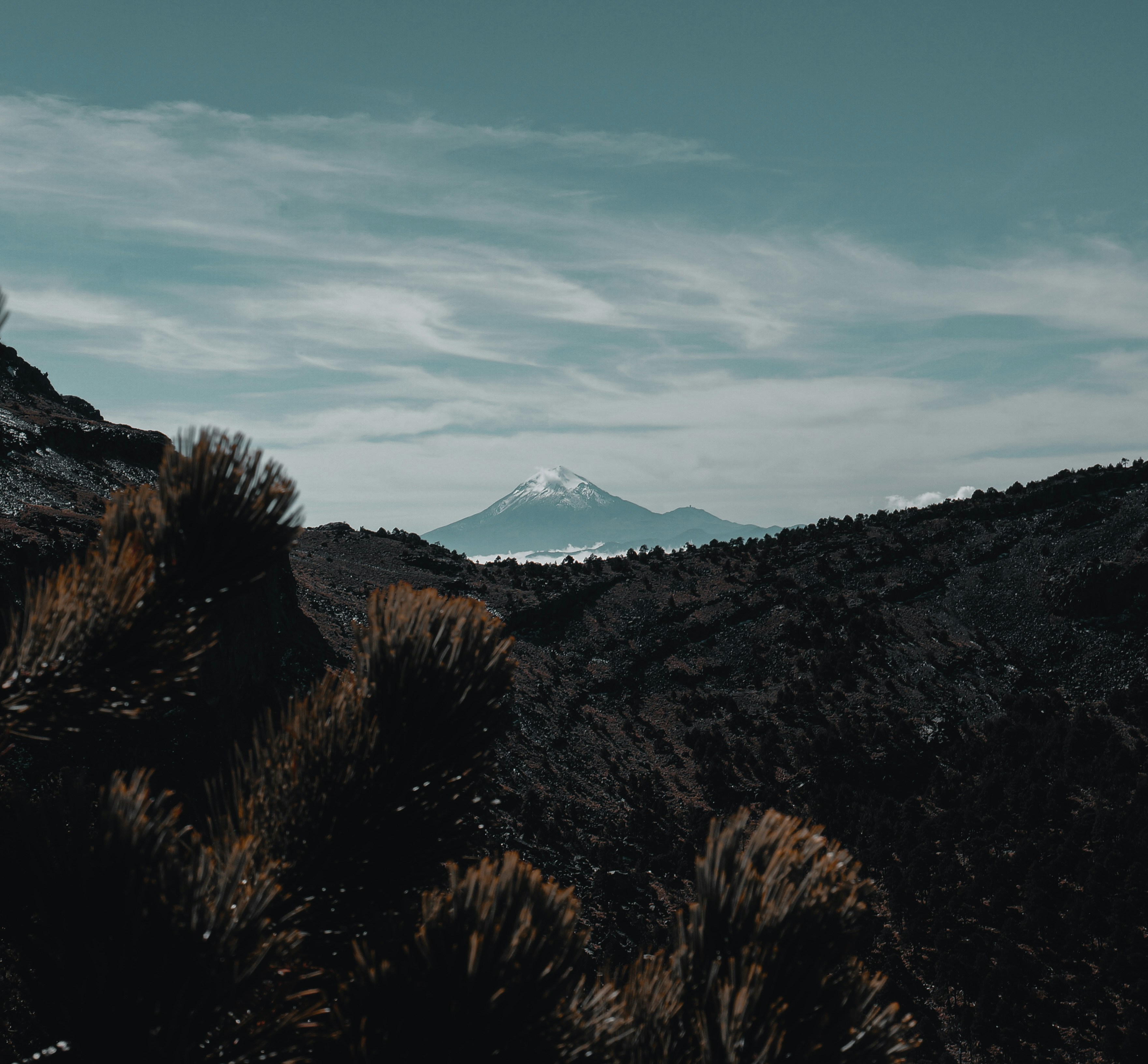 Photo by nacho_velmont