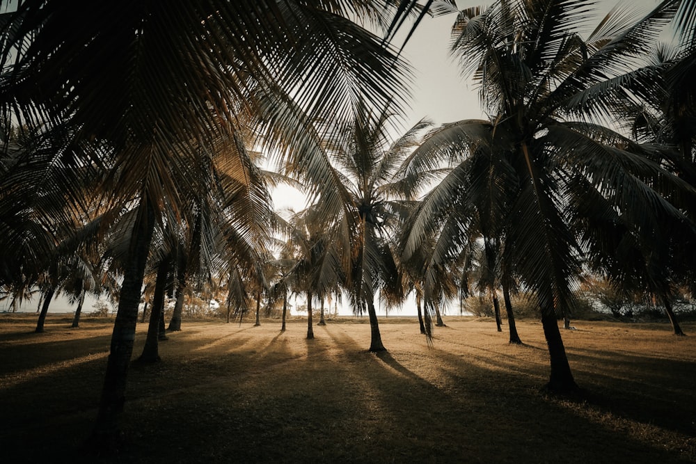 people walking on beach during daytime