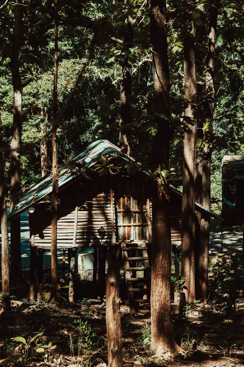 blue wooden house surrounded by trees during daytime