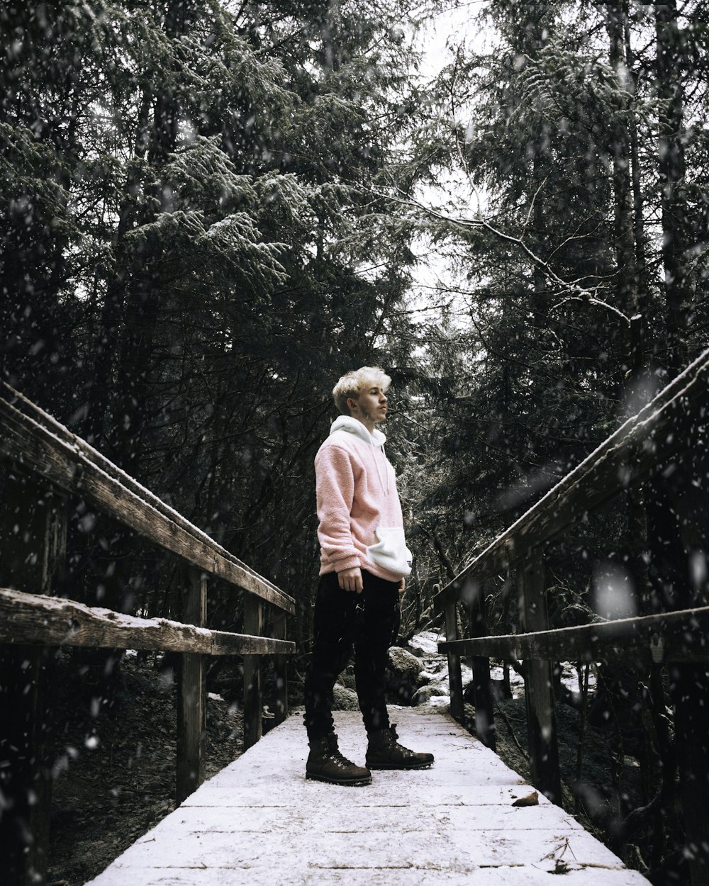 a person standing on a bridge in the snow