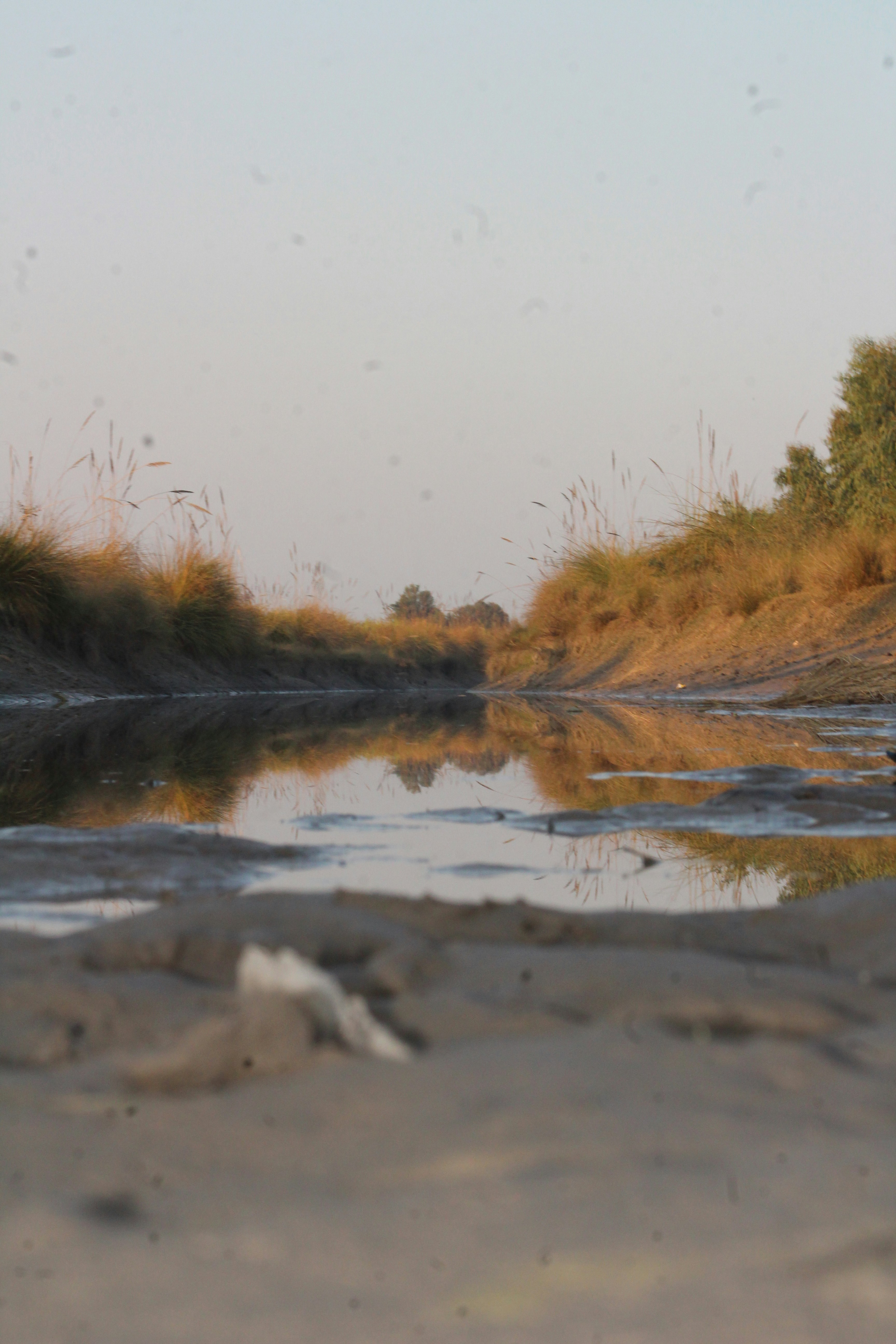 Photo by saimbaloch9272