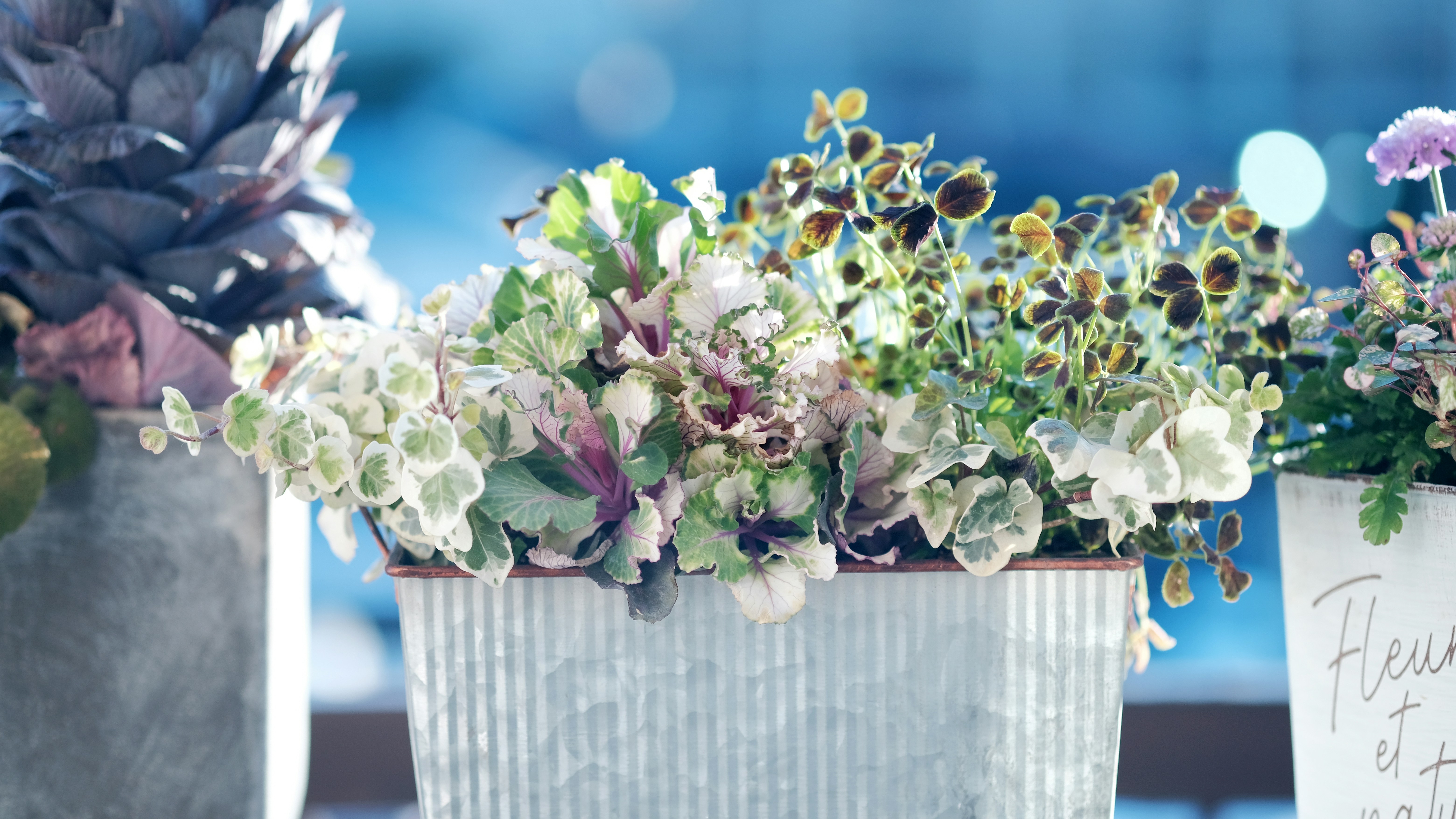 white and purple flowers in gray vase