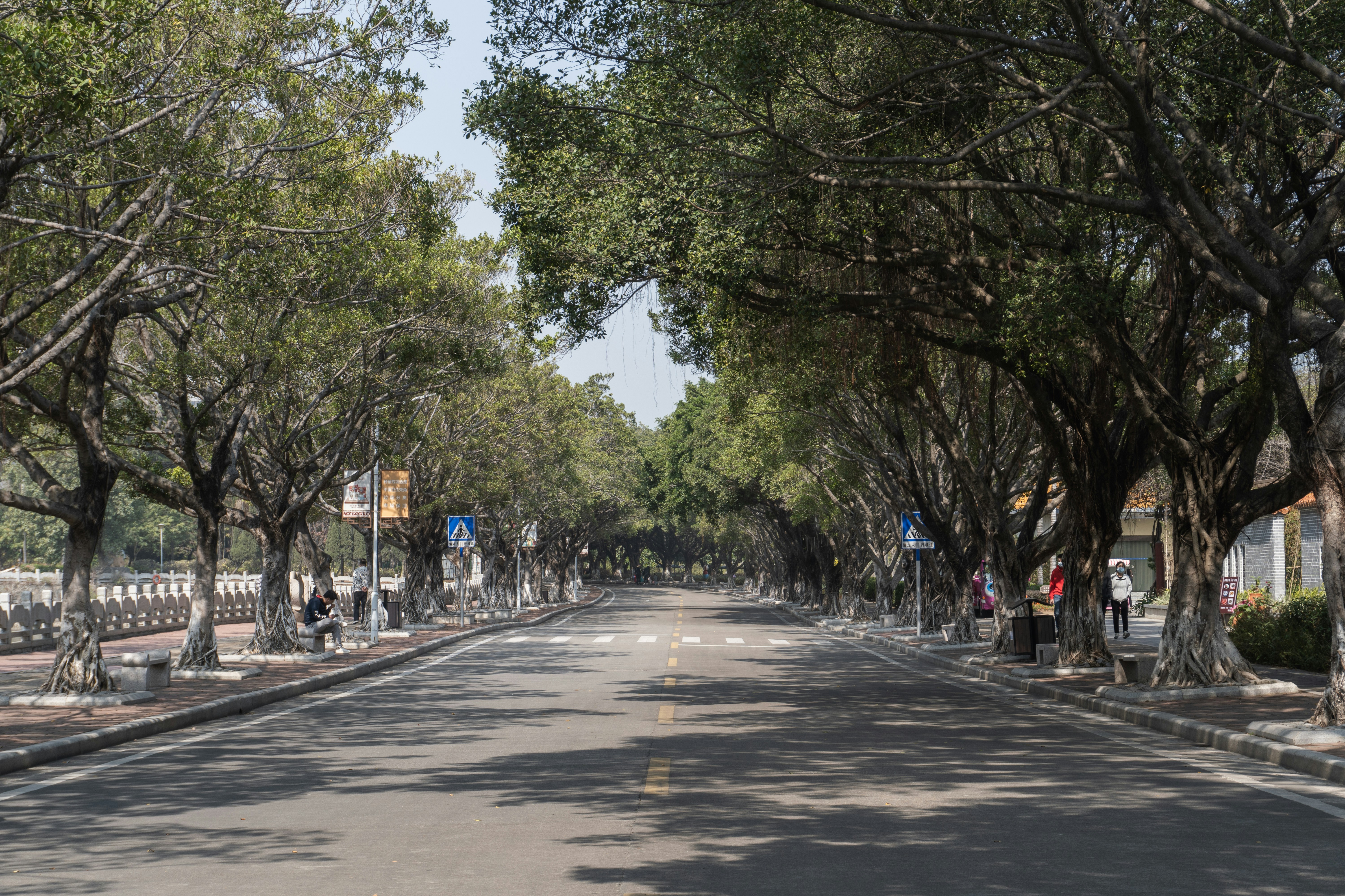 Adana’da Sağlıklı Yaşam İçin Yürüyüş Rüzgârı Esti - Sağlık haberi görseli