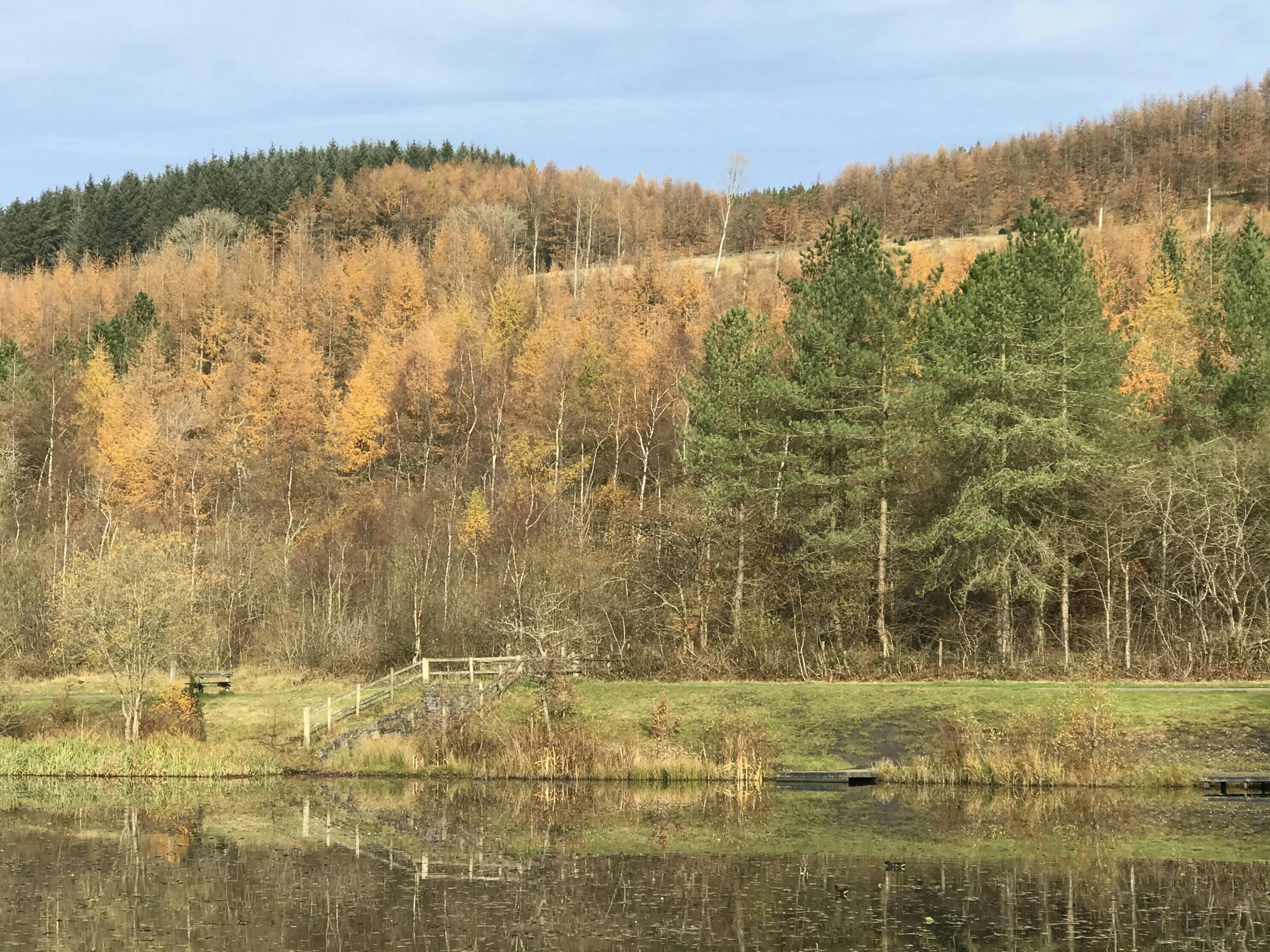 Photo by andywatkins