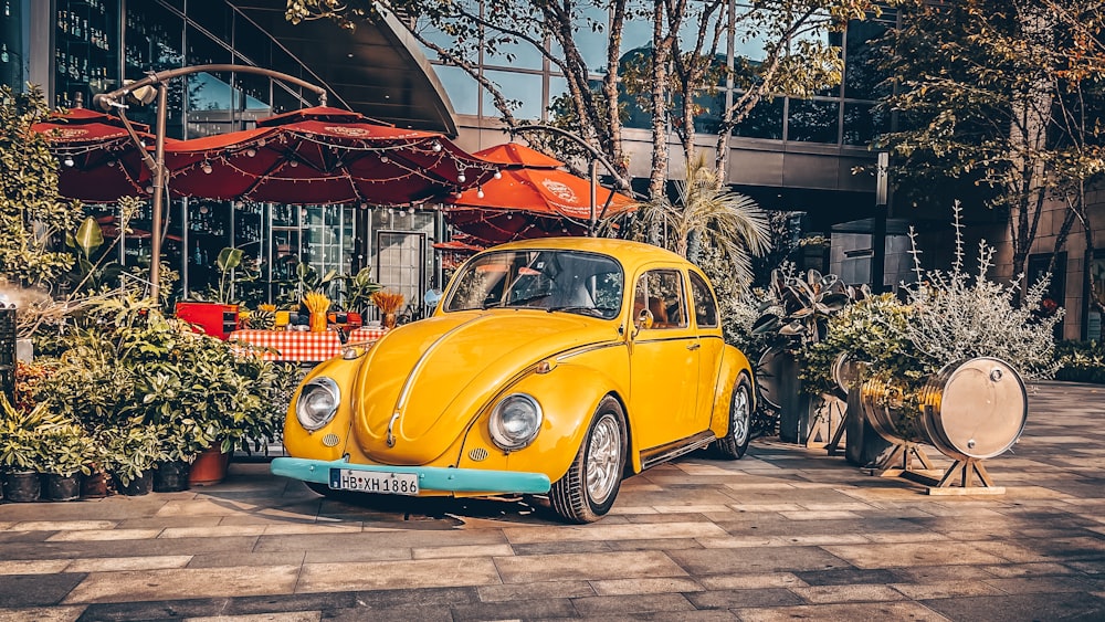 yellow volkswagen beetle parked beside brown bare tree during daytime