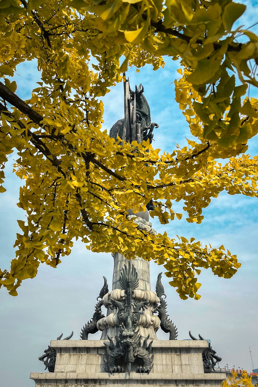 yellow leaves on tree branch