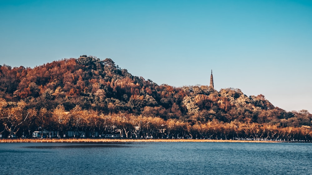 brown and green trees on brown mountain beside body of water during daytime