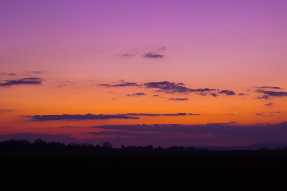 silhouette of trees during sunset