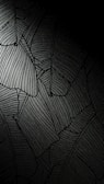 black and white striped textile