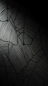 black and white striped textile