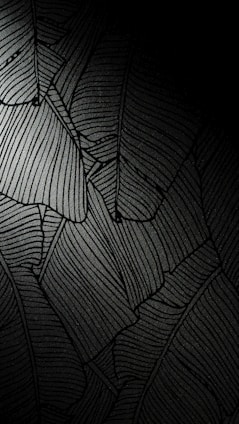 black and white striped textile