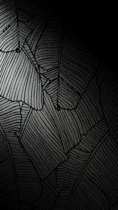 black and white striped textile
