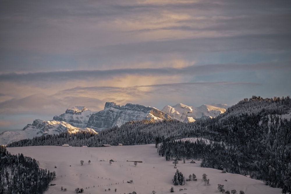 snow covered mountain during daytime