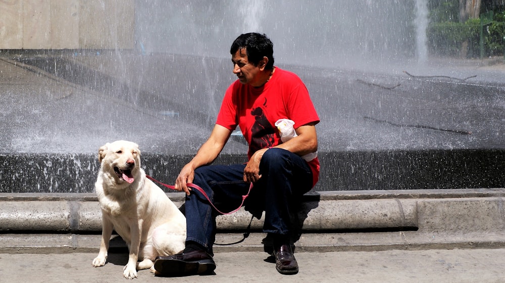 man in red polo shirt and black pants sitting beside white short coated dog