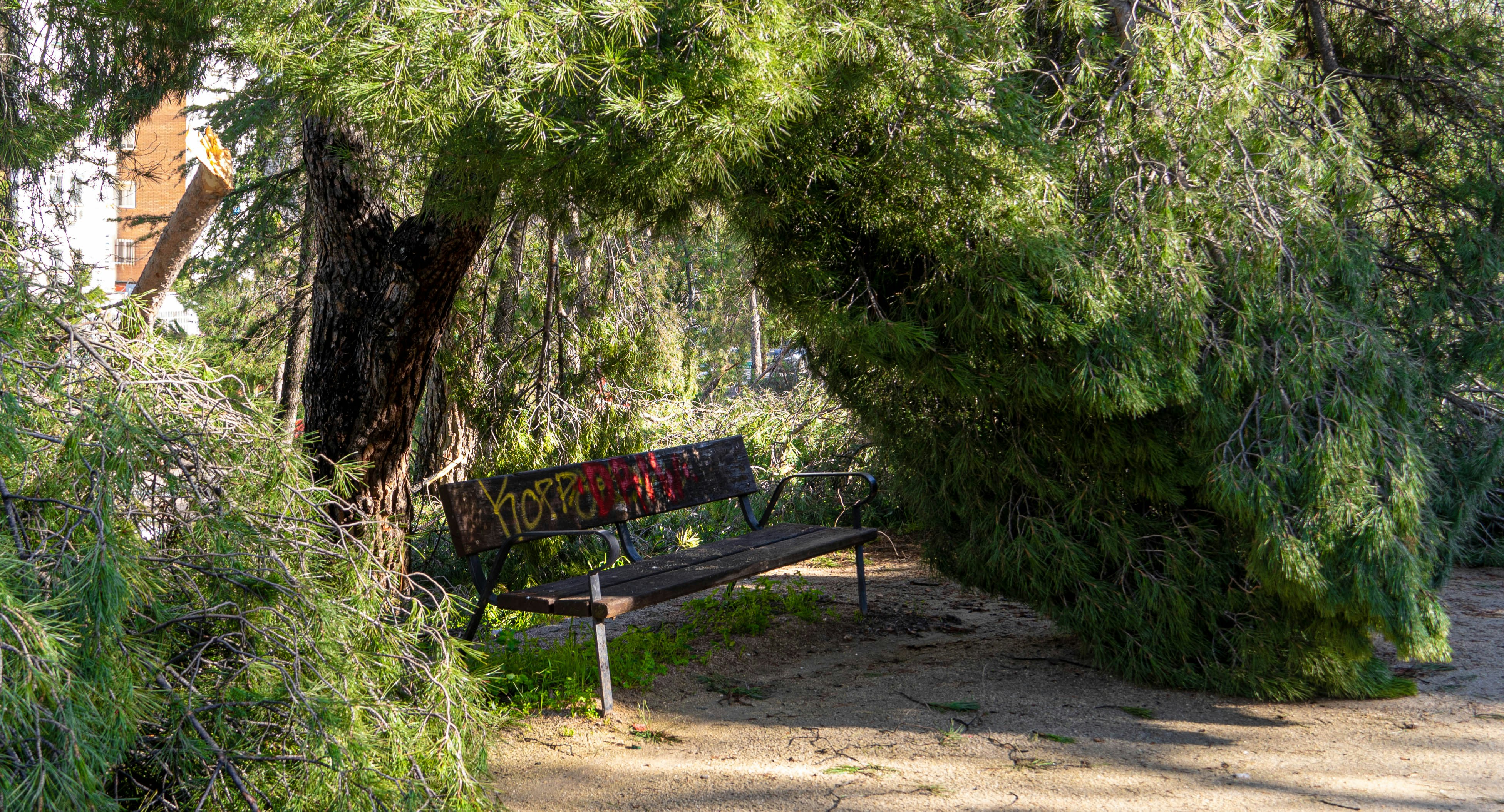 Photo by joseantoniogall