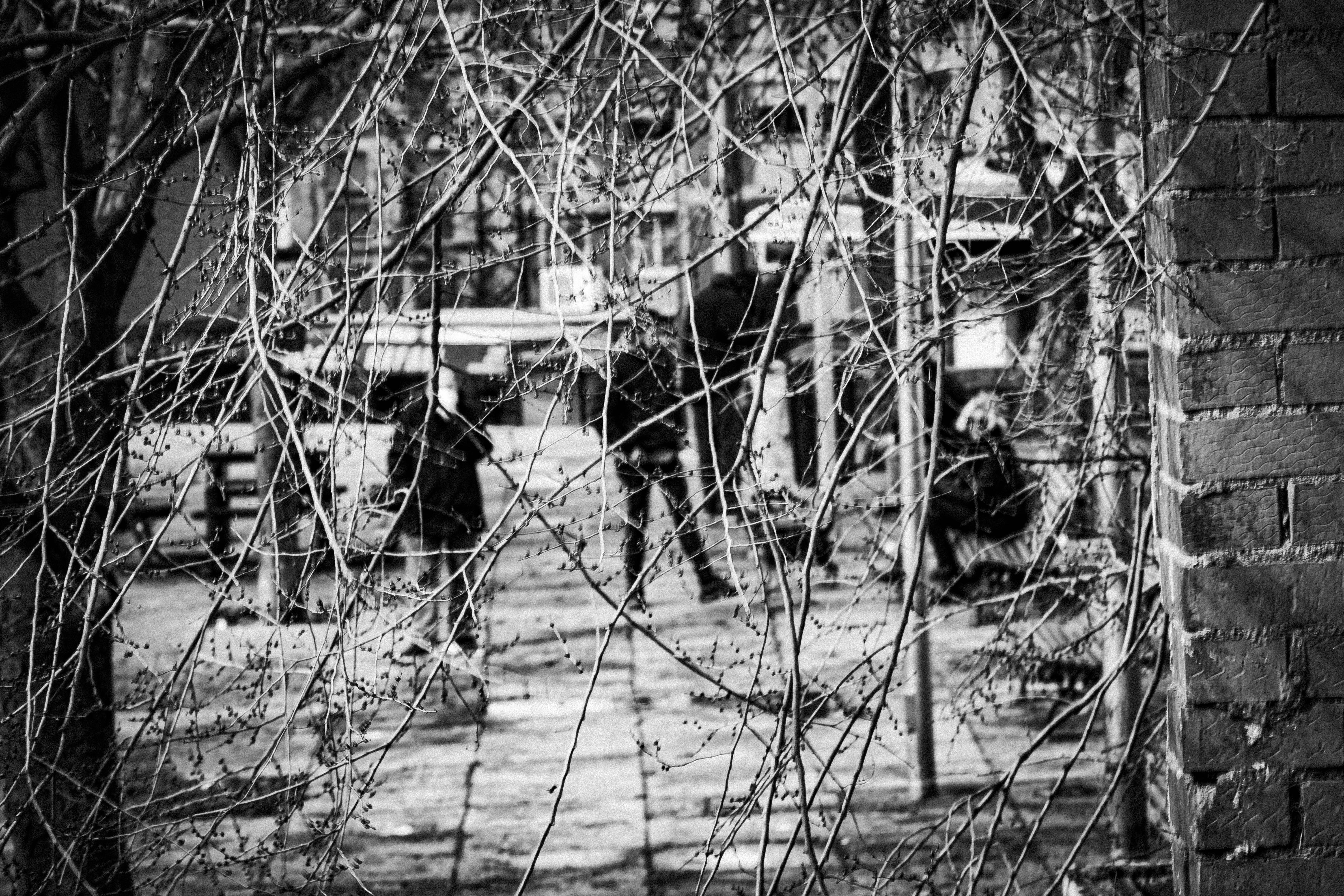 Photo by joseantoniogall