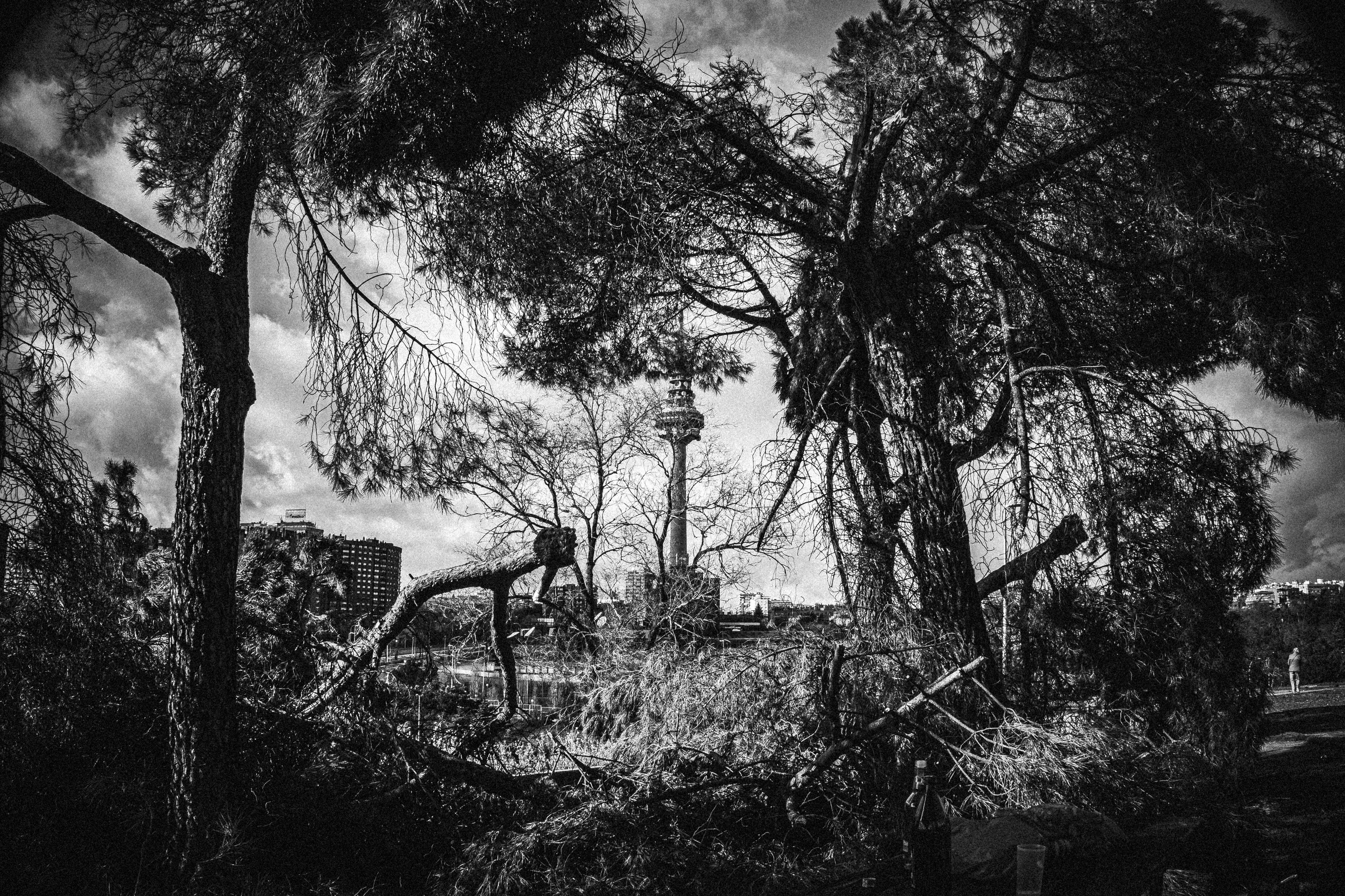 Photo by joseantoniogall