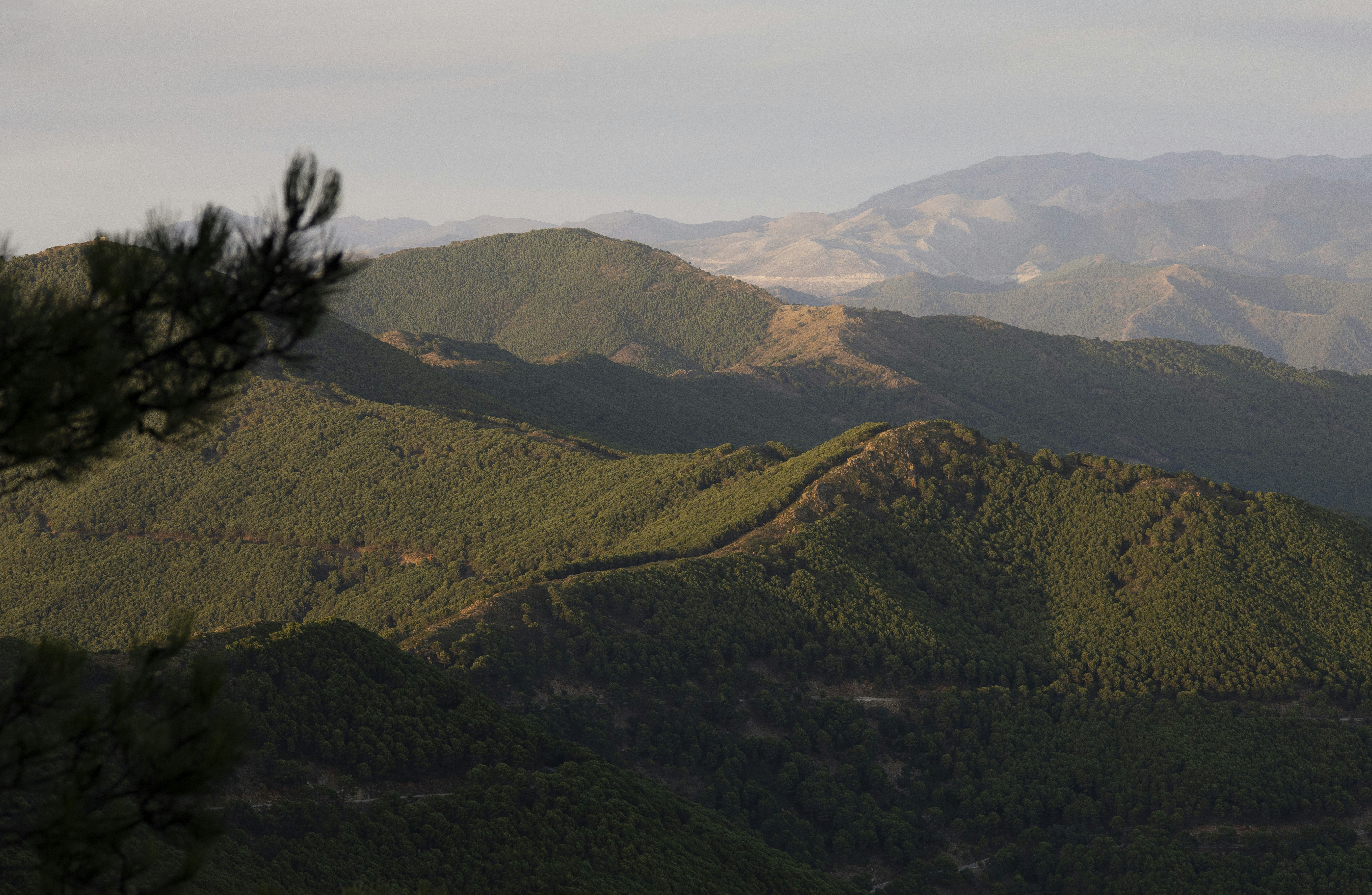 Photo by victor_vector