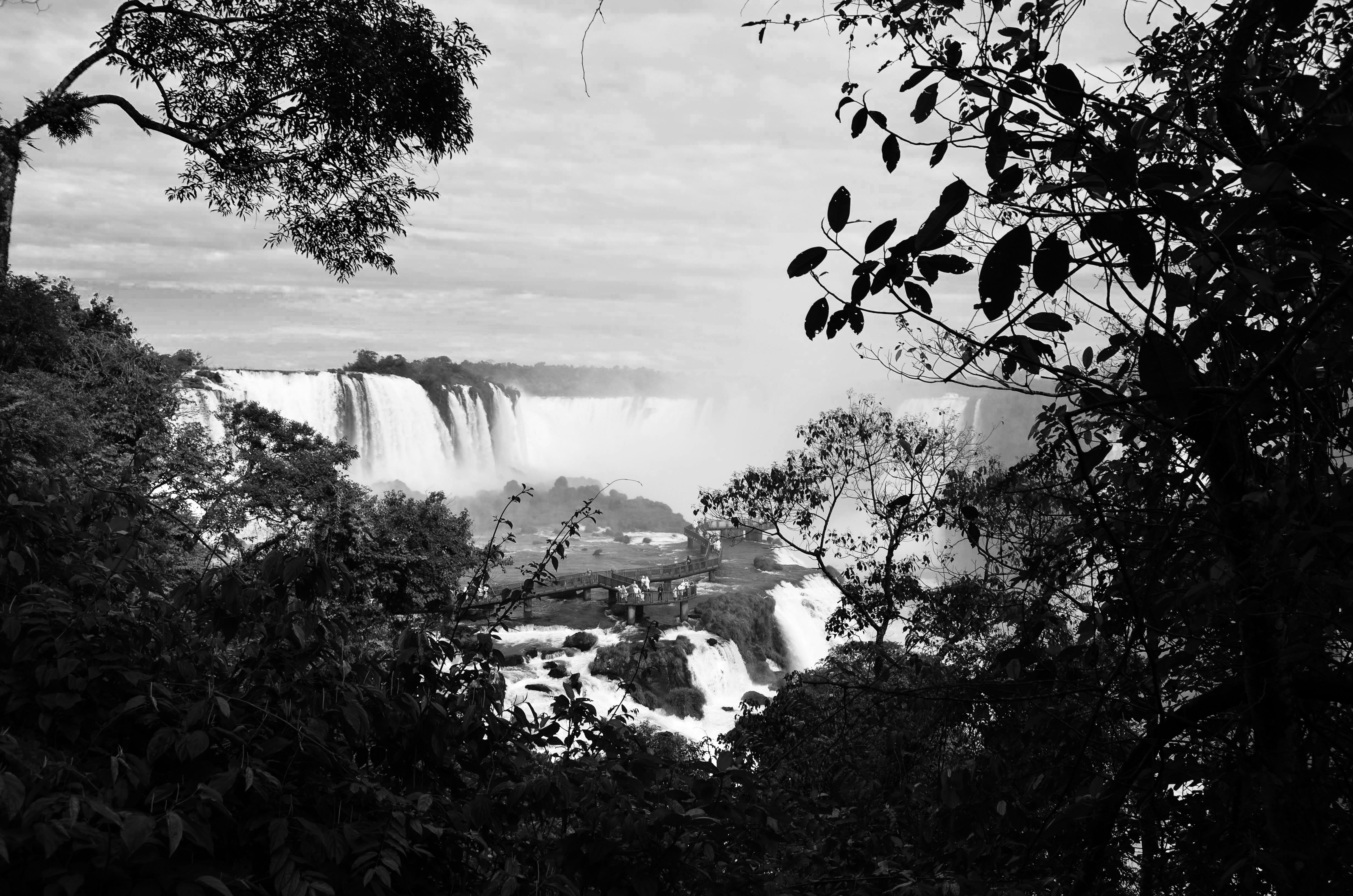 grayscale photo of water falls