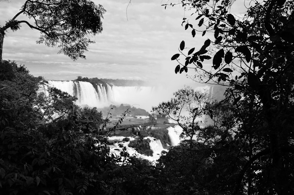 grayscale photo of water falls