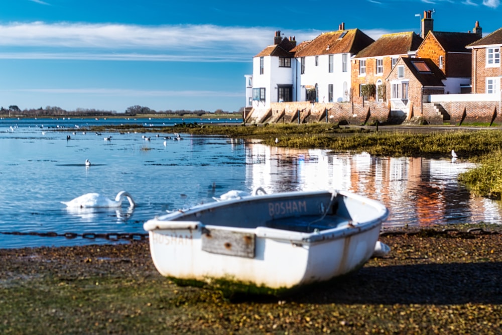 white and blue boat on water near houses during daytime