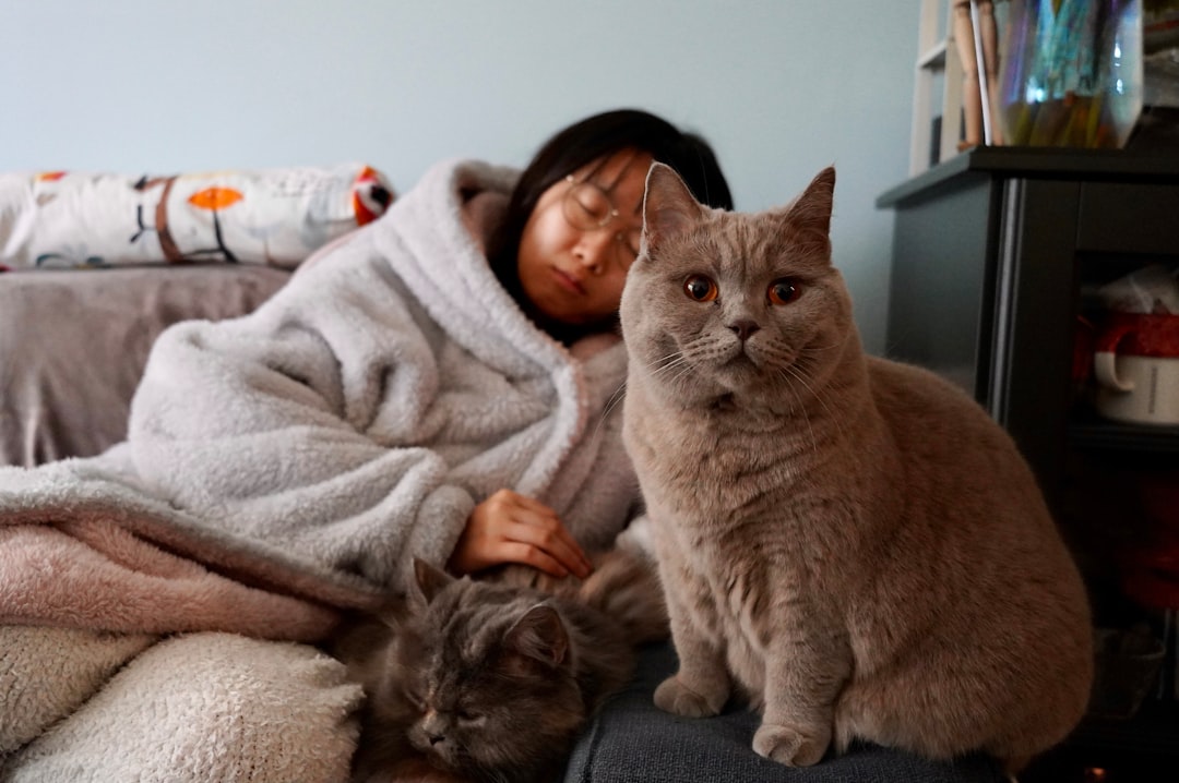 woman in gray sweater hugging brown cat