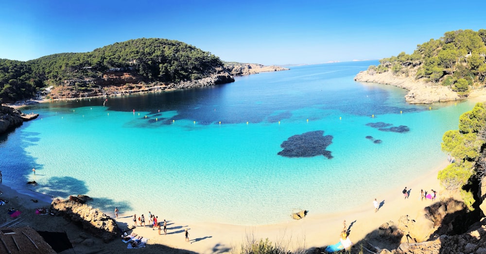 people on beach during daytime