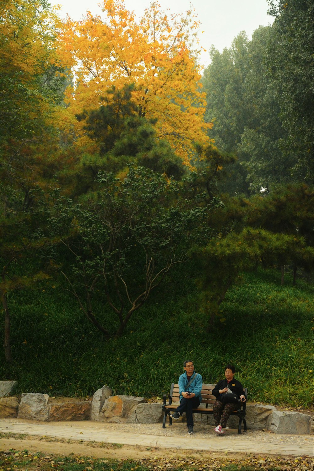 people walking on pathway surrounded by trees during daytime