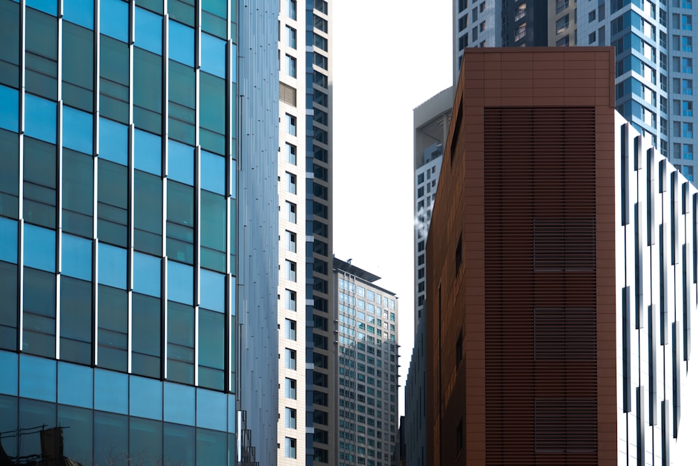 brown and blue high rise buildings