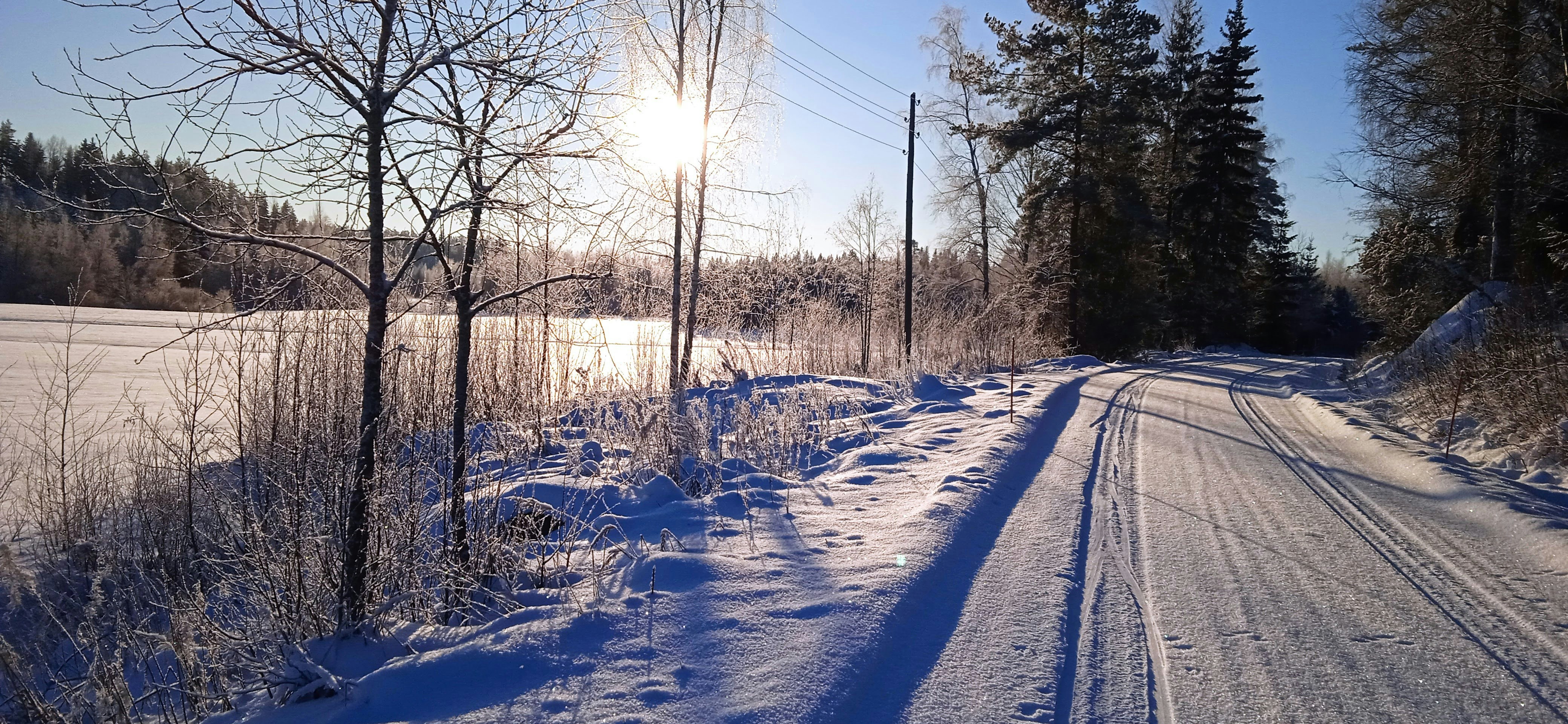 Photo by rkkuva