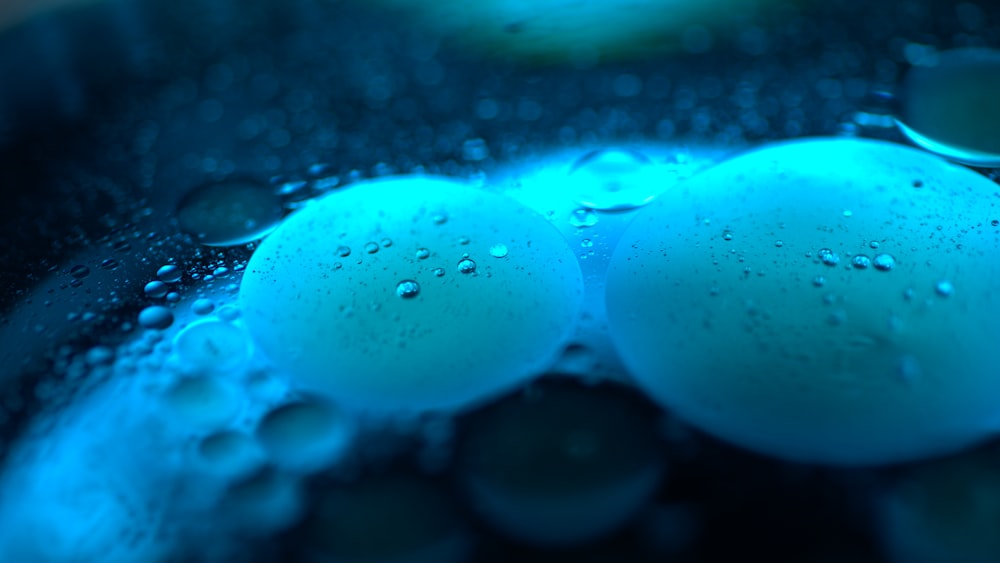 white egg on water in close up photography