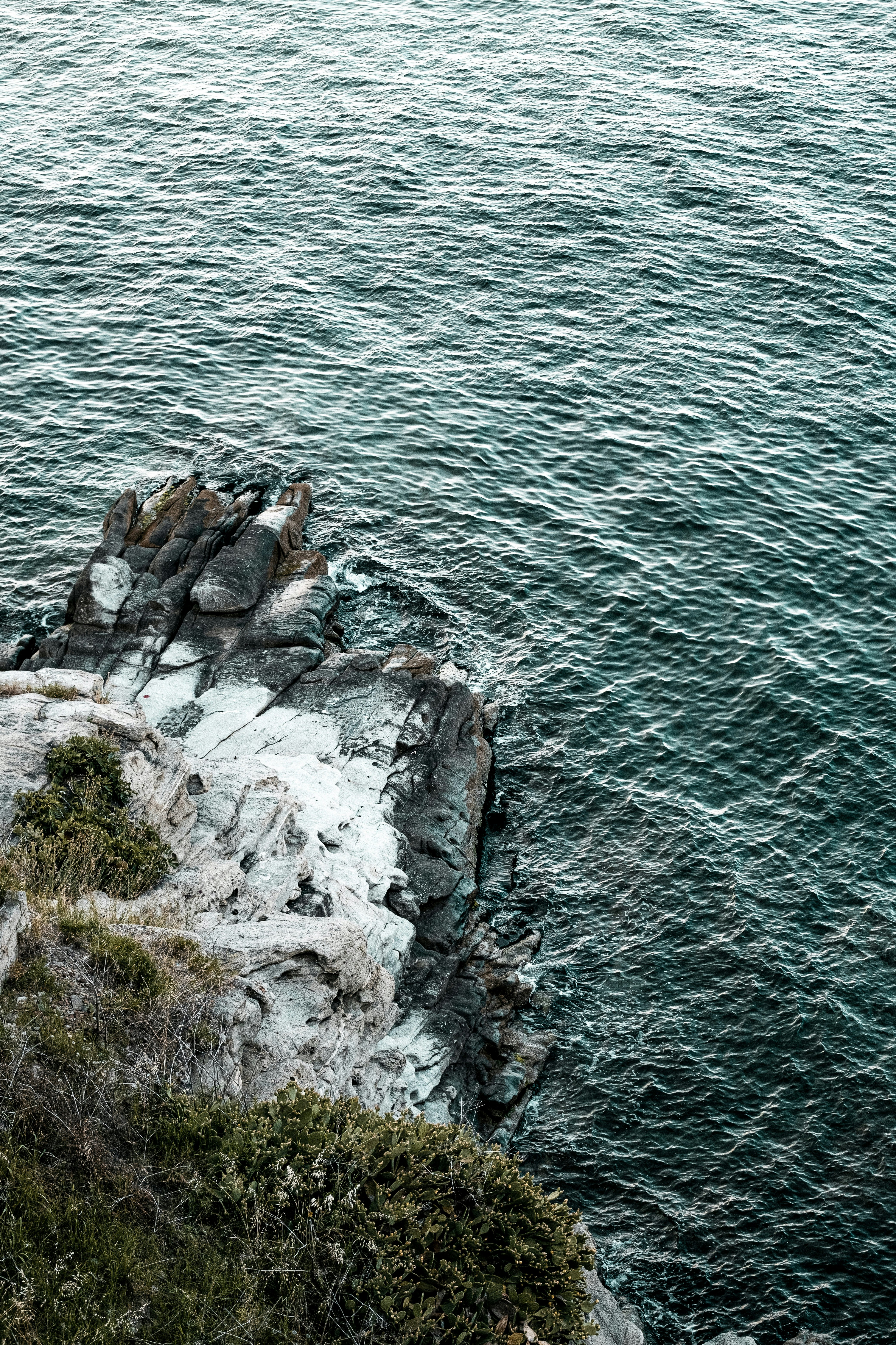 Photo by yorgosntrahas