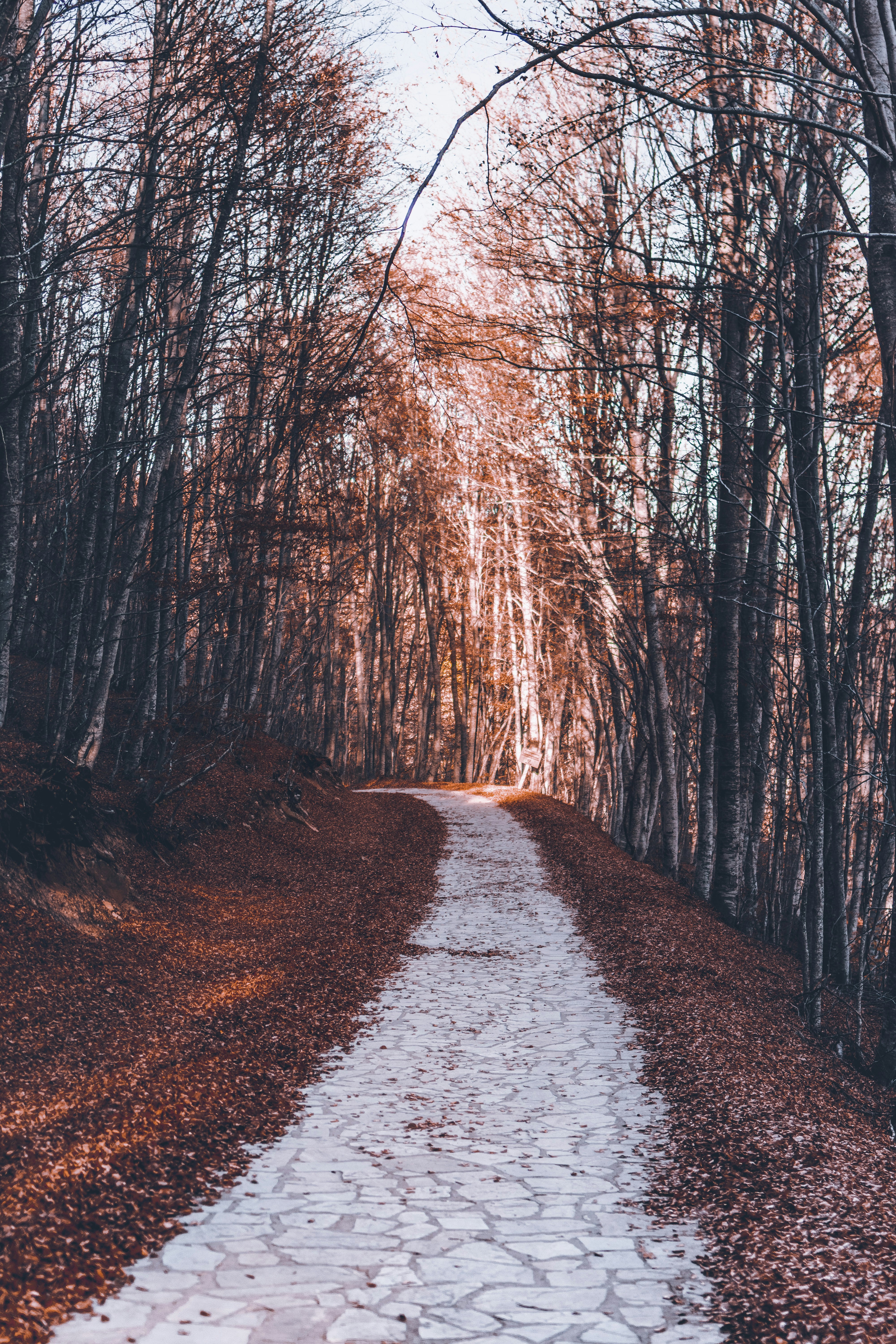 Photo by yorgosntrahas