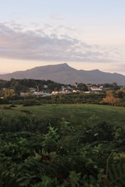 green grass field near mountain during daytime
