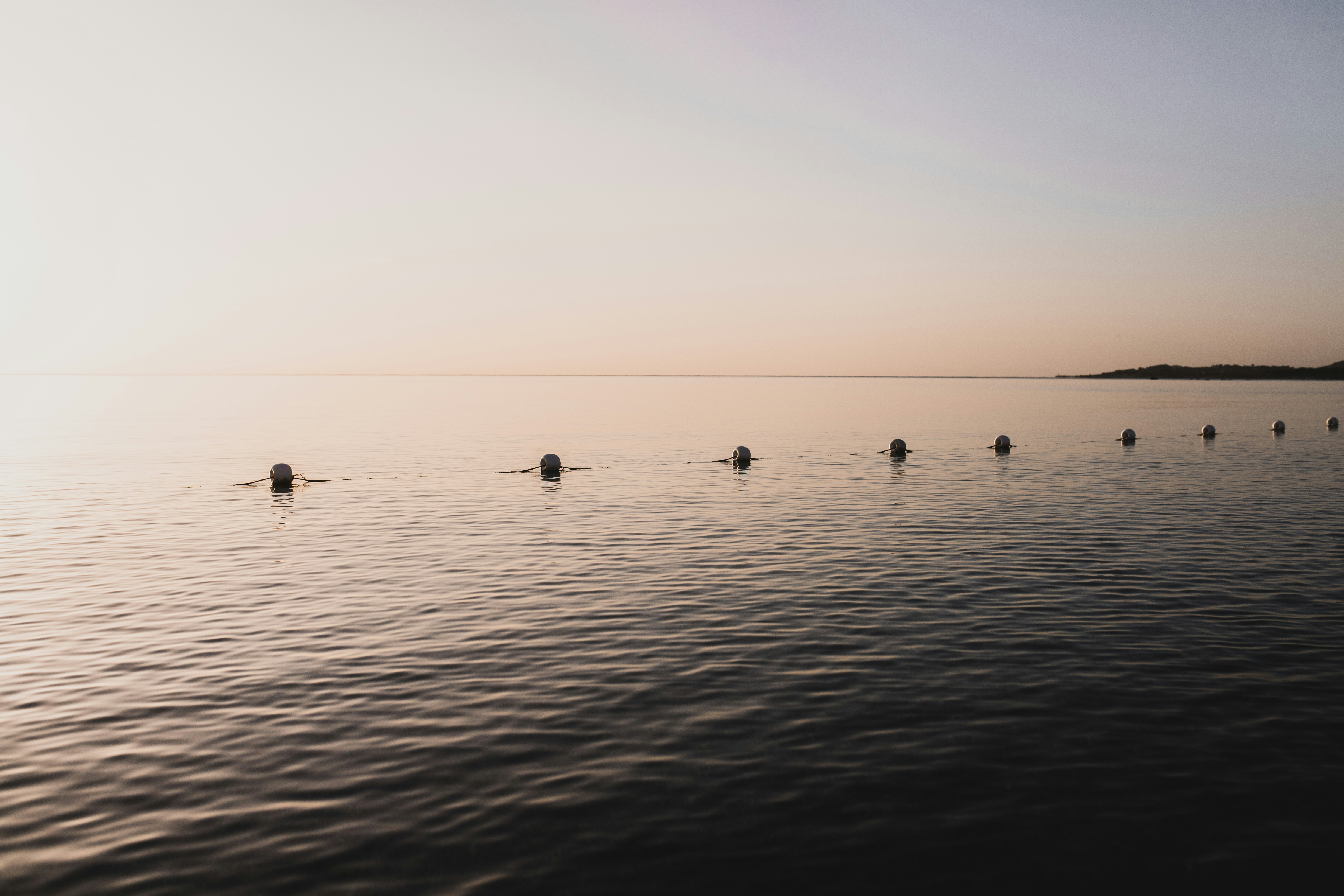 Photo by riccardoptz