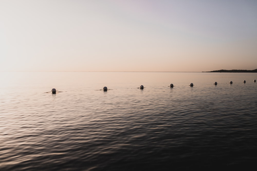 silhouette of people on sea during daytime