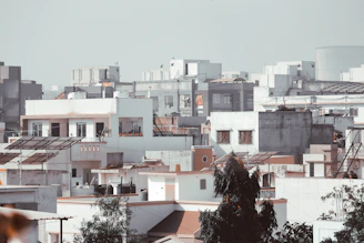 white and brown concrete buildings during daytime