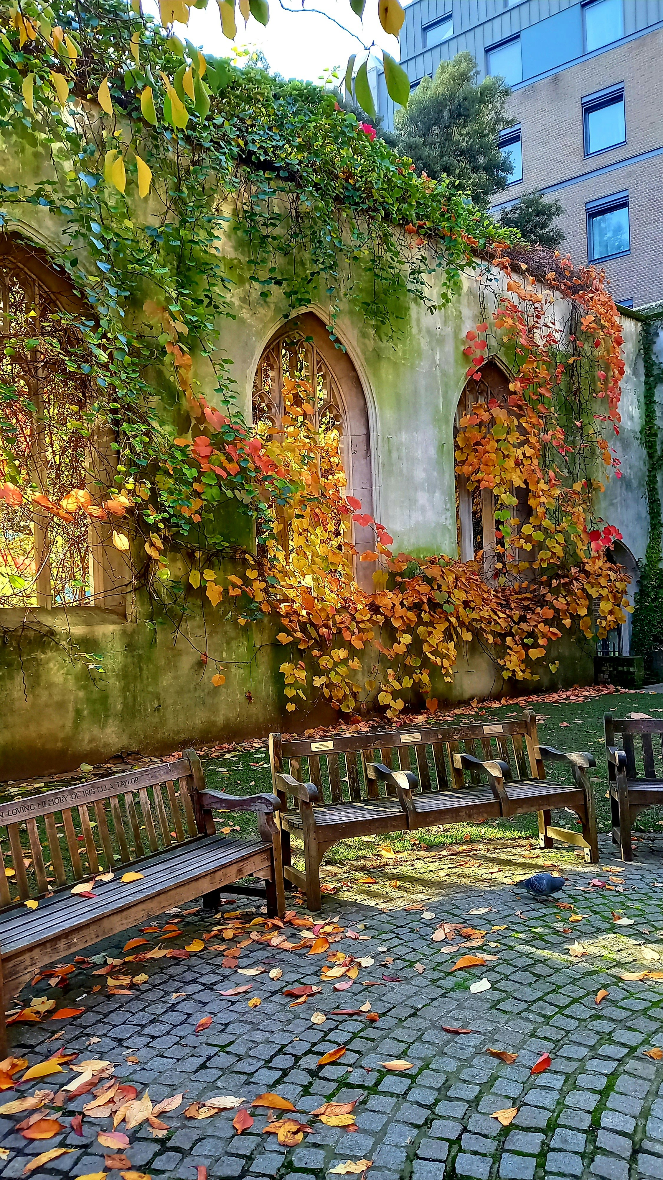 Ivy League vs. Non-Ivy Universities: A Comprehensive Educational Comparison